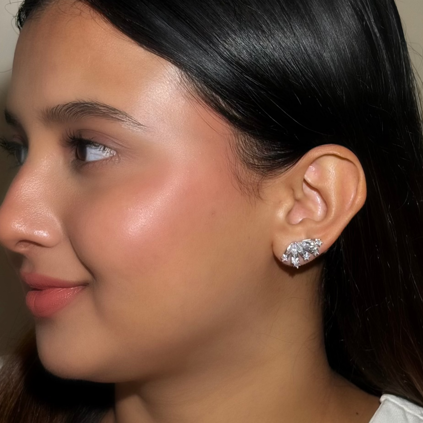 Frozen In Time - Silver Earrings