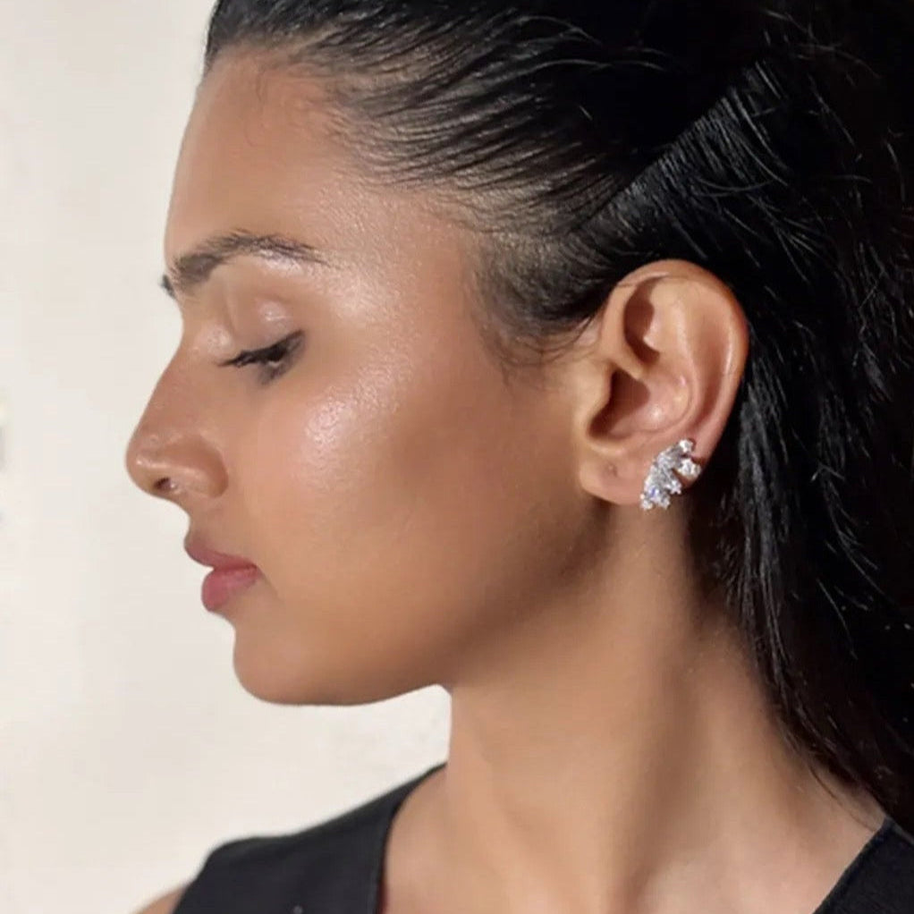 Frozen In Time - Silver Earrings