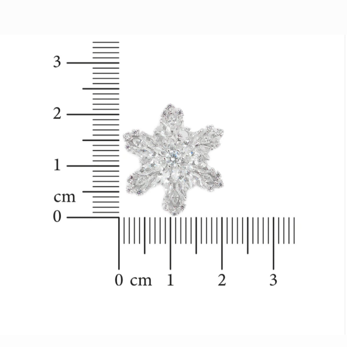 Snowflake - Silver Earrings